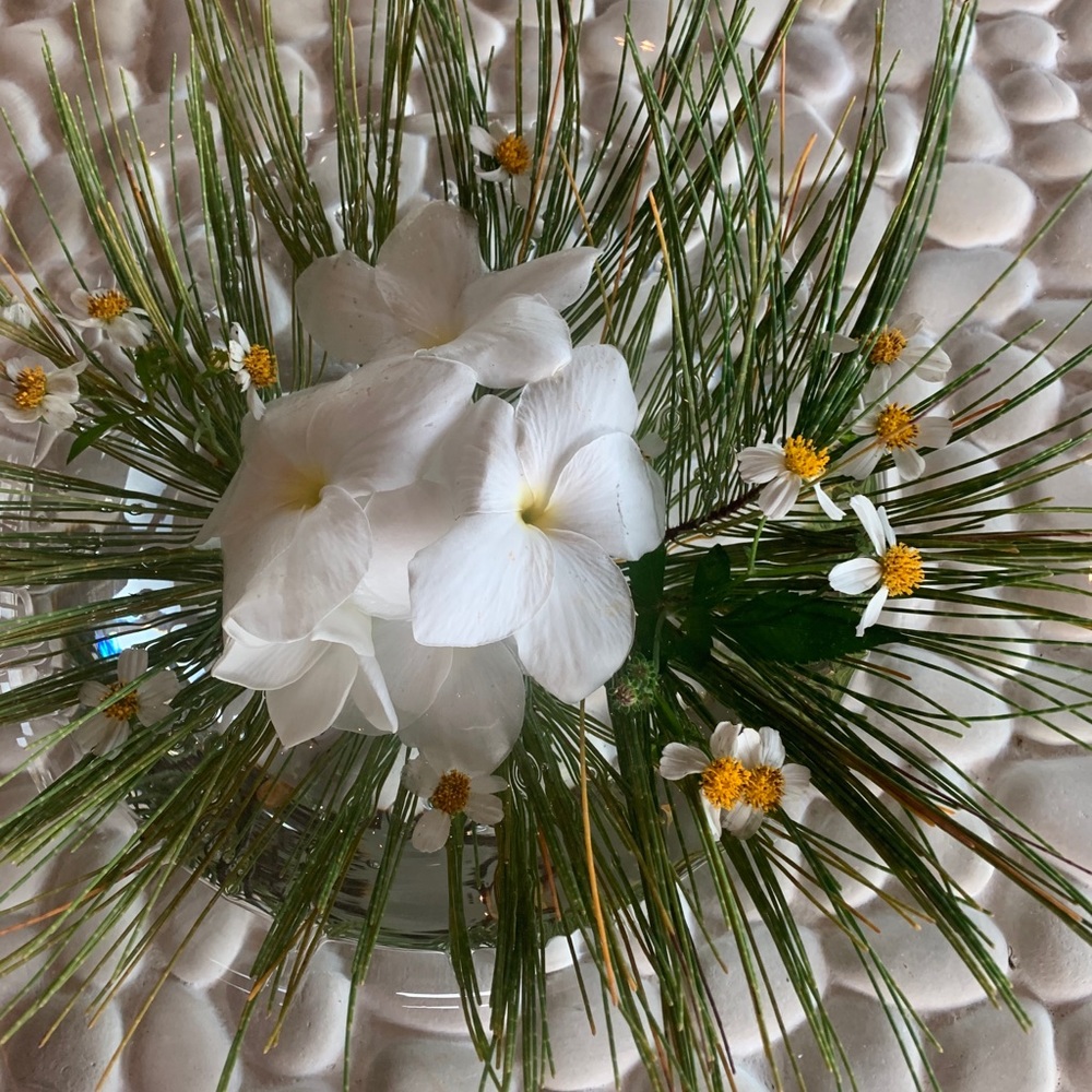 Meet your Posher, Alana